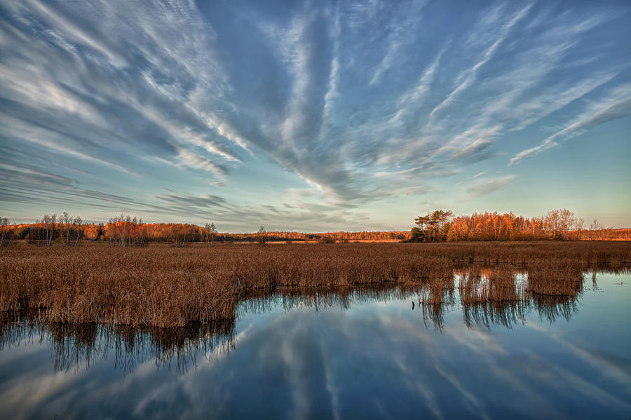 Marsh Reflections At Sunrise Photograph by Irwin Barrett