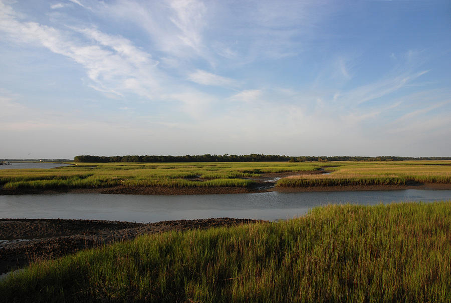 Marsh Scene Charleston Sc Photograph by Susanne Van Hulst