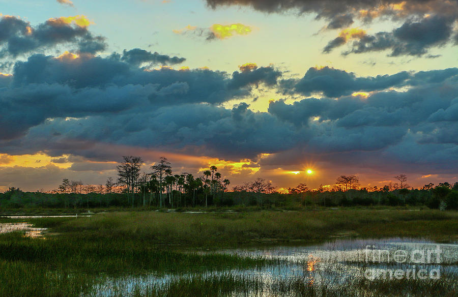 Marsh Sunburst Photograph by Tom Claud