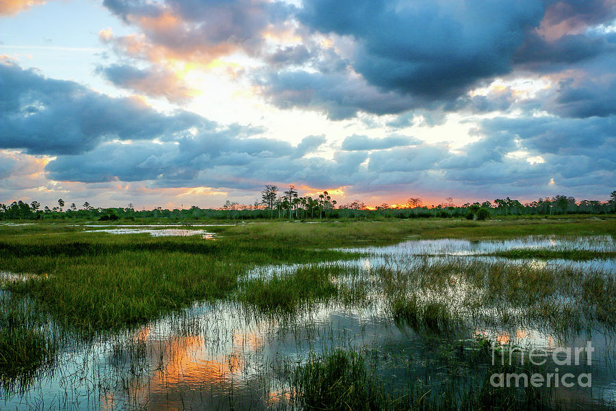 Marsh Sunrise Reflections Photograph by Tom Claud