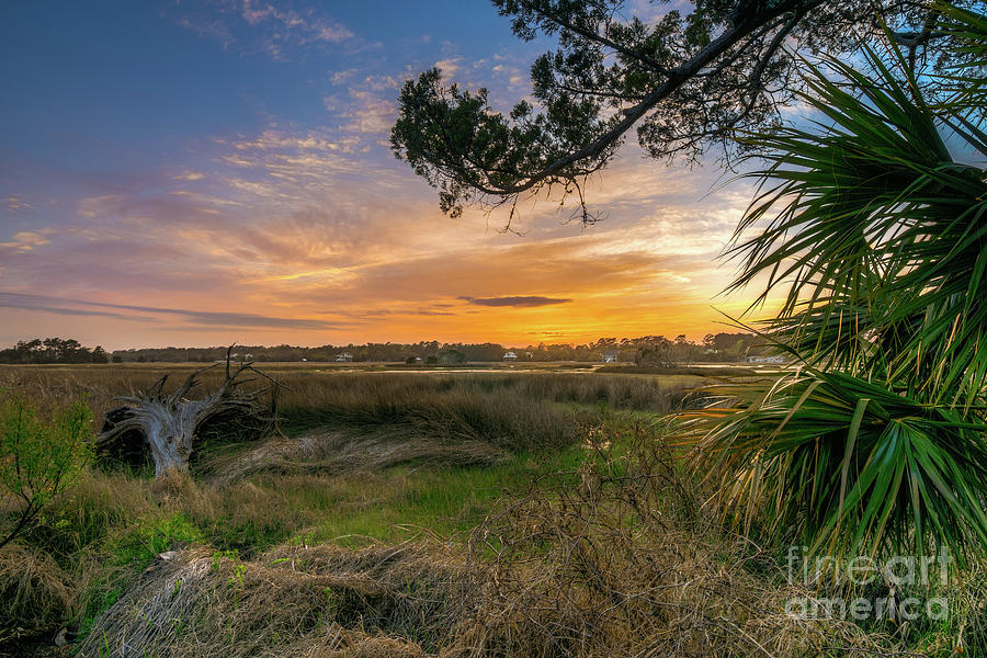 Tropical Photograph - Marsh Sunset by Matthew Trudeau