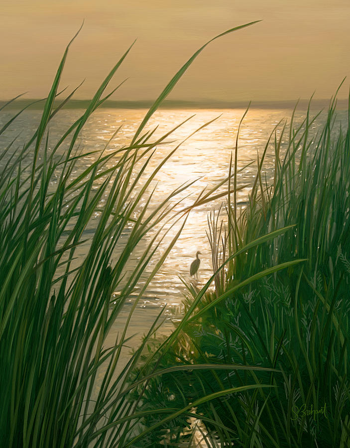 Marsh Sunset Digital Art by Sue  Brehant