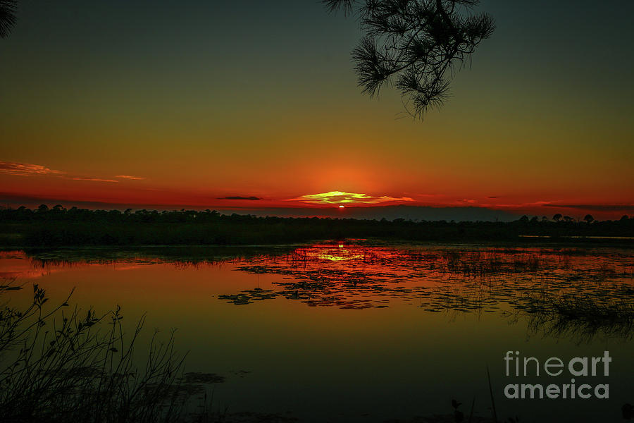Marsh Sunset Photograph by Tom Claud
