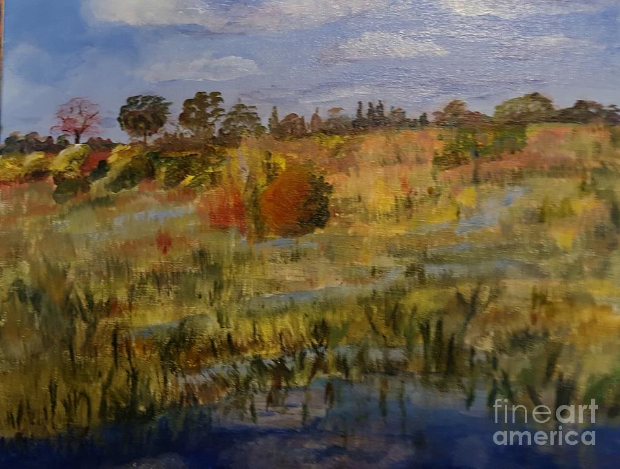 Marsh Trail at Loxahatchee Painting by Donna Walsh