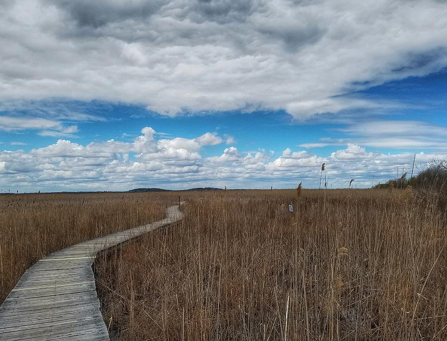 Marsh Walk 3 Photograph by Mary Capriole