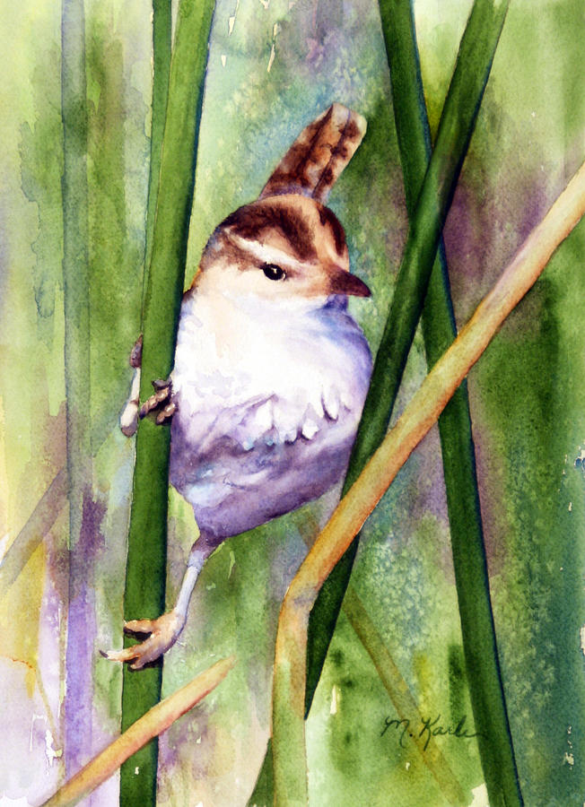 Silver Creek Marsh Wren Painting by Marsha Karle
