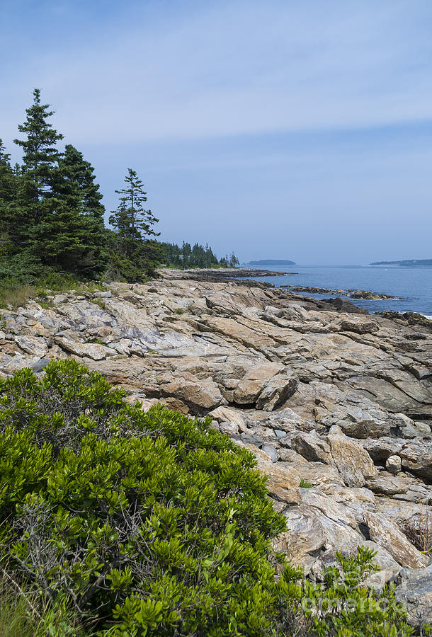 Rocky Shore Photograph - Marshall Ledge looking downeast by Patrick Fennell