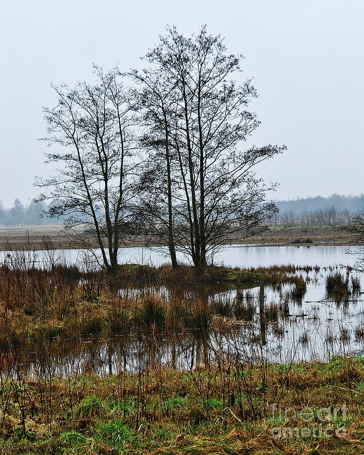 Marshes in Drenthe in The Netherlands Photograph by Humphrey Isselt