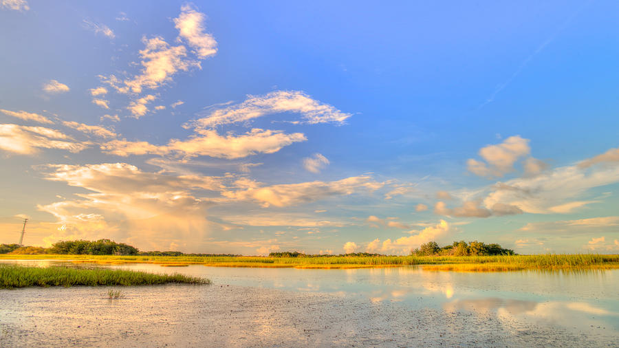 Marshes of Glynn - 1 Photograph by Jennifer Shockley - Fine Art America