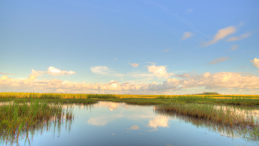 Marshes of Glynn - 5 Photograph by Jennifer Shockley - Fine Art America