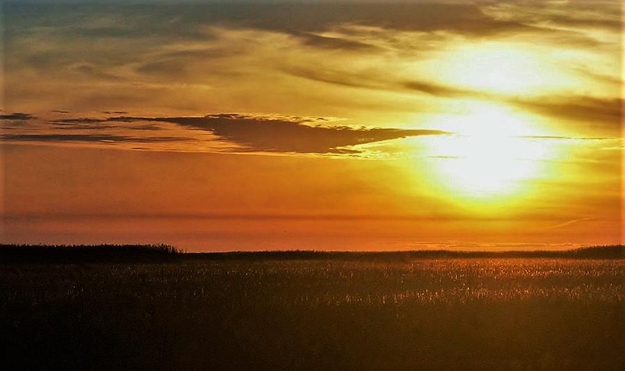 Marshgrass Sunset Photograph by John Glass
