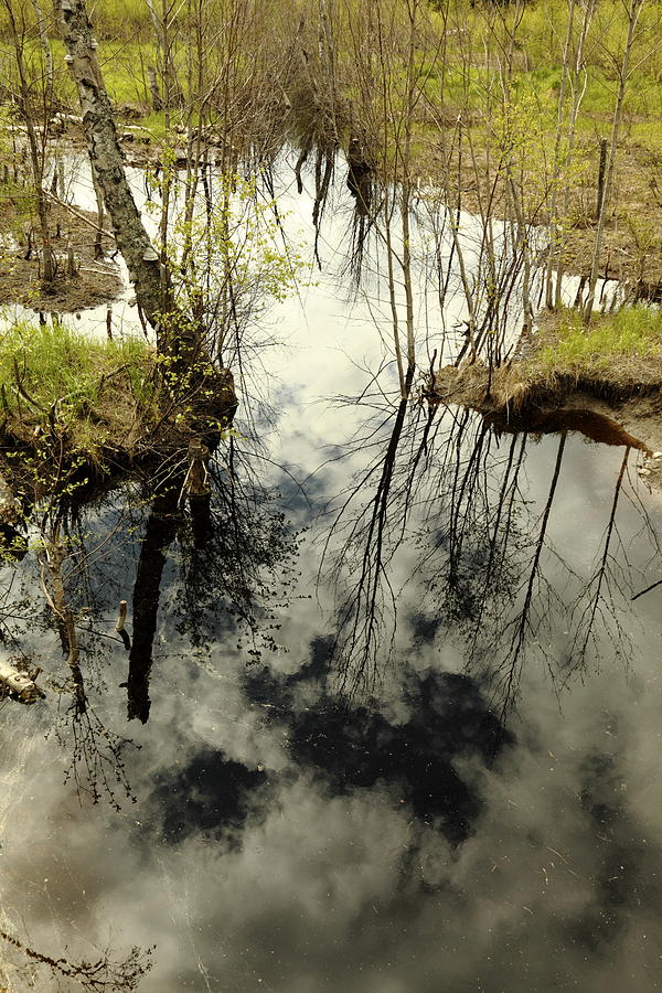 Marshland with reflected sky Photograph by Ulrich Kunst And Bettina Scheidulin