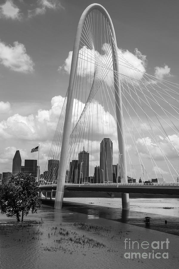 Margaret Hunt Hill Bridge Dallas Texas Photograph by Greg Kopriva