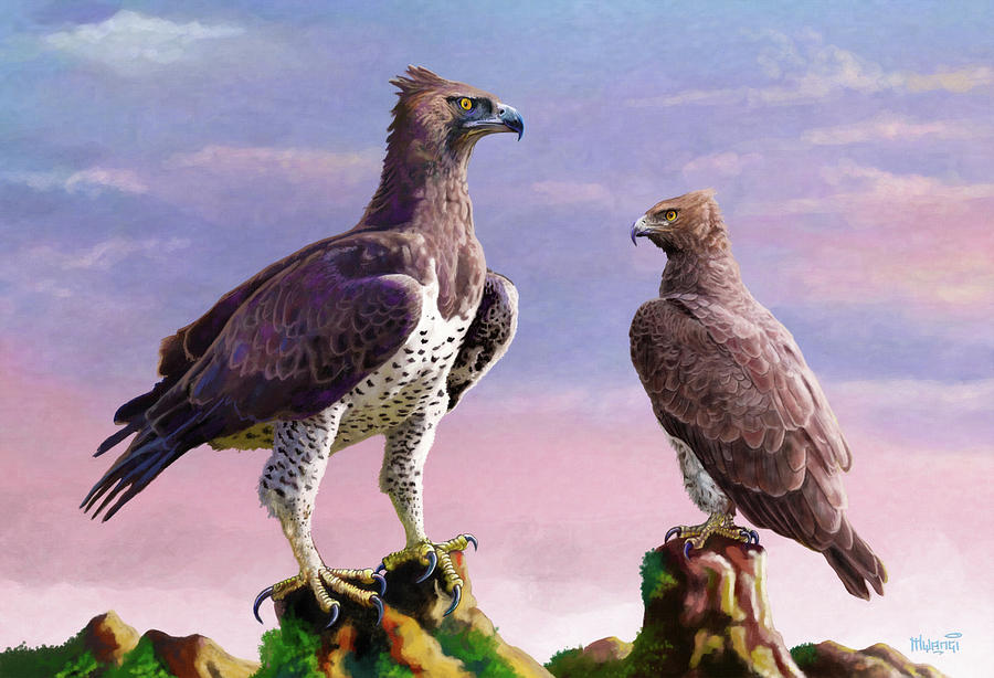 Martial Eagles Painting by Anthony Mwangi