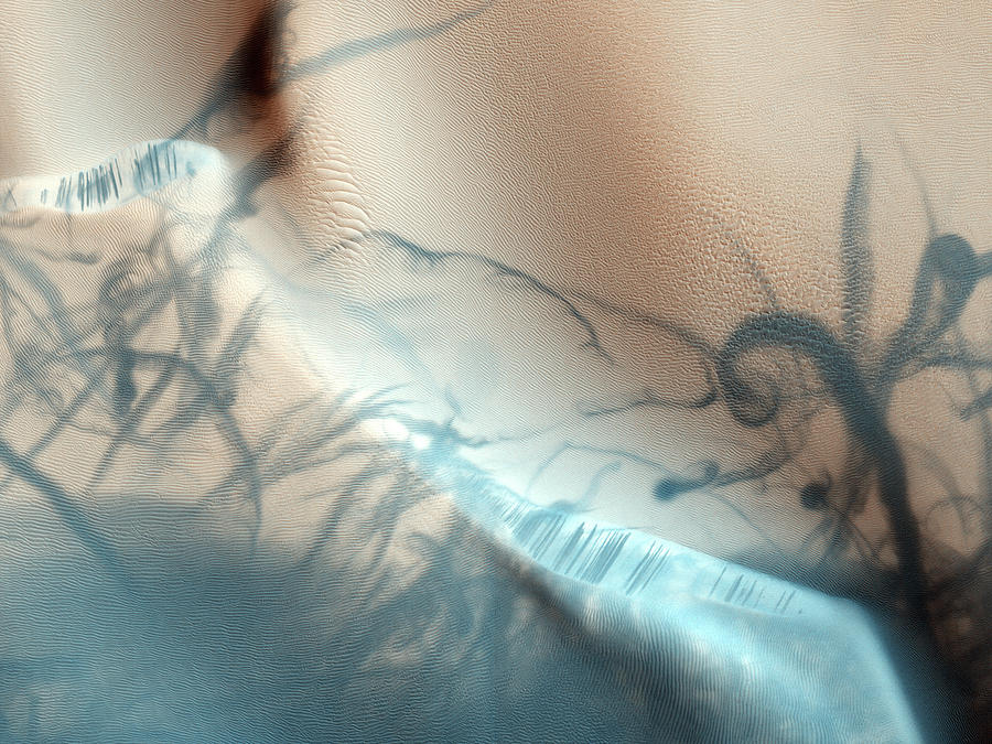 Martian Dust Devil Trail Photograph by NASA JPL and the University of Arizona