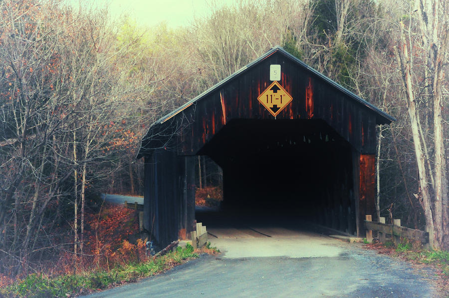 Martins Mill Covered Bridge Photograph by Mike Martin