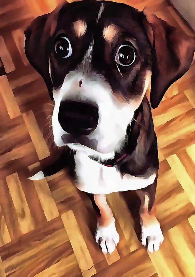 Marty The Soulful Eyed Dog  Painting by Taiche Acrylic Art