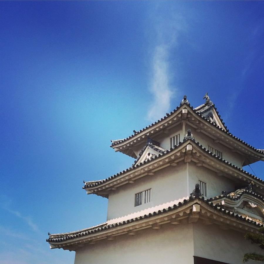 Castle Photograph - Marugame Castle & Blue Sky 🏯 🌞 by Kei Oguchi
