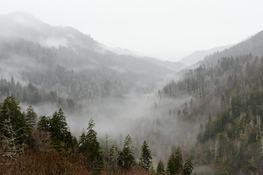 Clouds Photograph - Marvelous Mist by Kristina Plaas Clouds Photograph - Marvelous Mist by Kristina Plaas