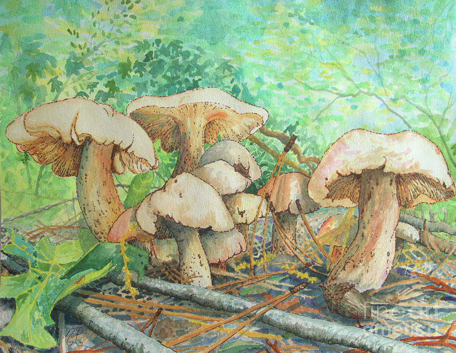 Marvelous Mushrooms Hidden in Gibbs Gardens Painting by Nicole Angell