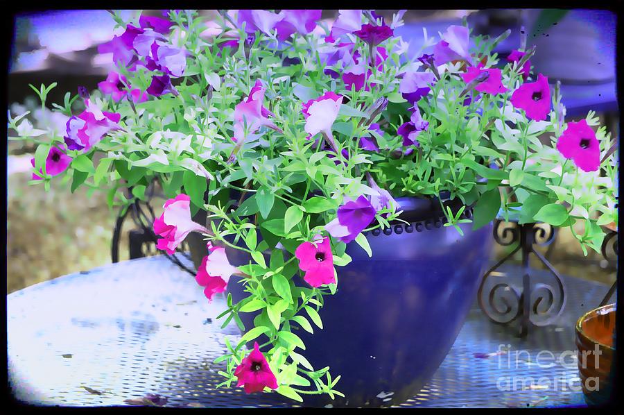 Mary Anns Pot O Petunias Photograph by Maxine Billings