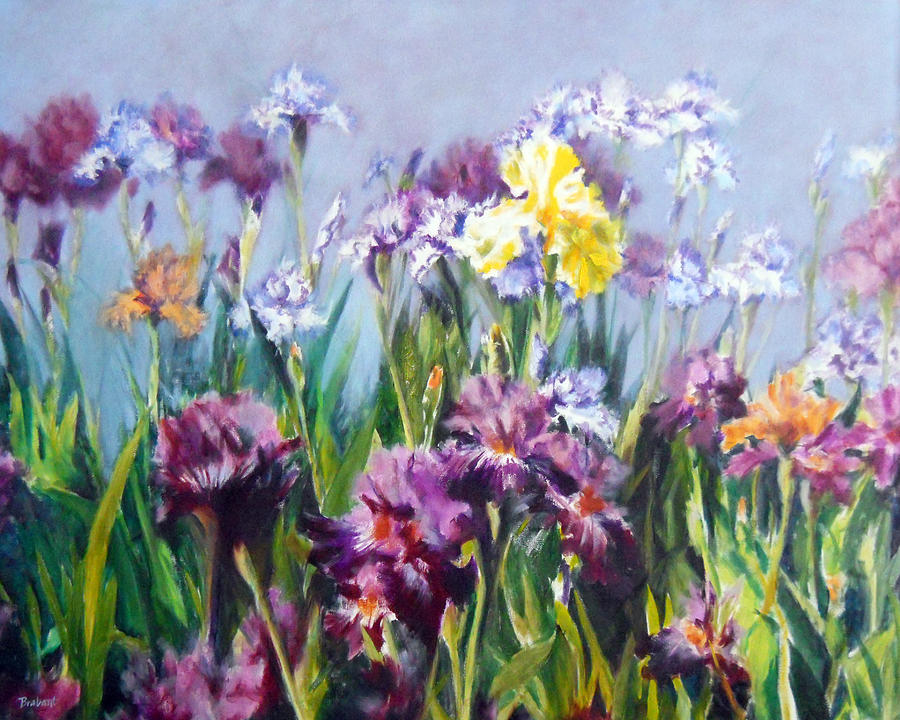 Flower Painting - Mary Ellens Irises by Jill Brabant