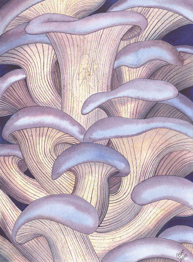 Mary Mushrooms Painting by Catherine G McElroy