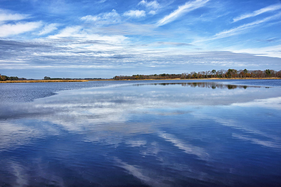 Maryland - Blackwater National Wildlife Refuge Photograph by Brendan Reals