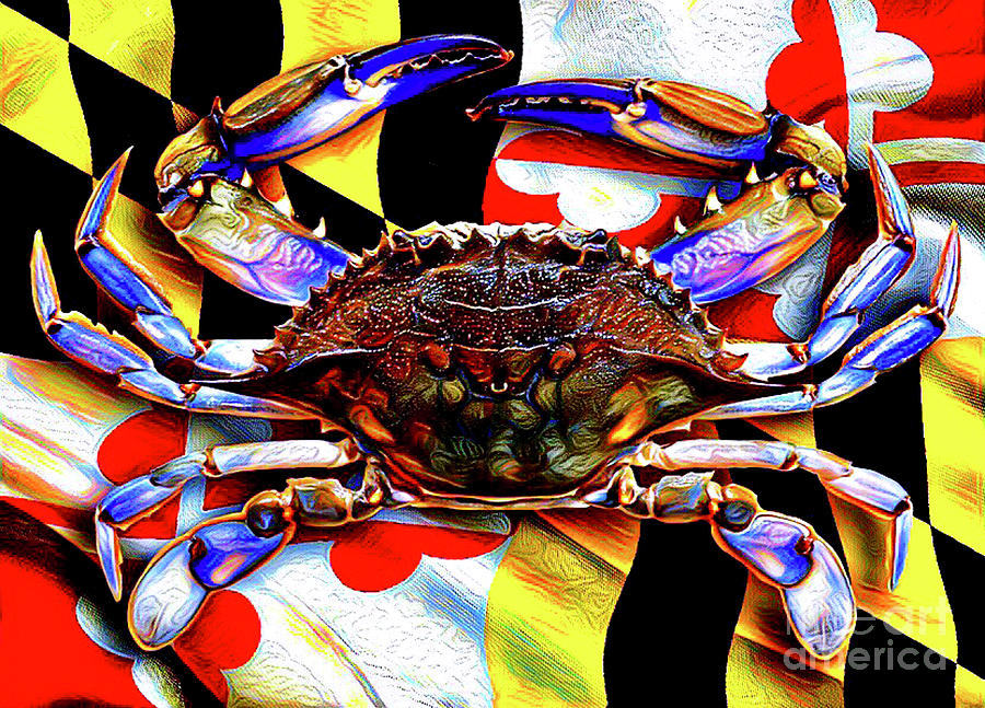 Maryland Blue Crab Digital Art by CAC Graphics Pixels