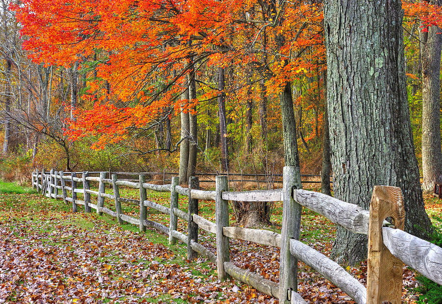 Maryland Country Roads - Autumn Colorfest No. 12 - Eylers Valley Catoctin Mountains Frederick County Photograph by Michael Mazaika