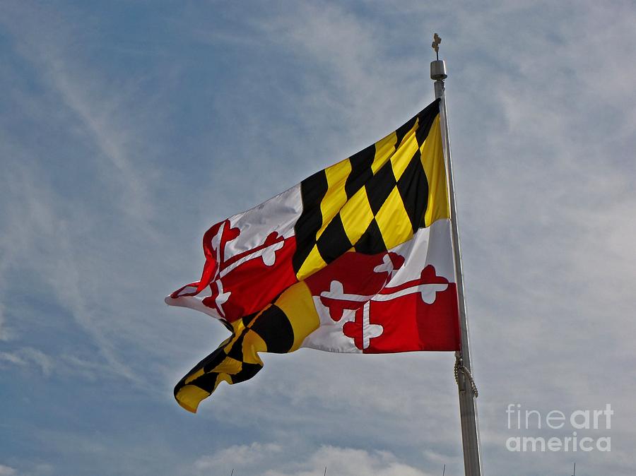 Maryland flag Photograph by Ben Schumin - Fine Art America