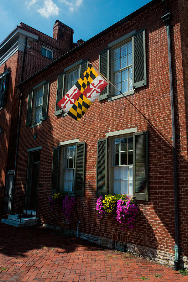 Maryland Flag - Frederick MD Photograph by Dana Sohr