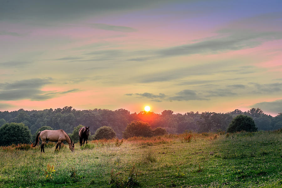 Maryland Pastures Photograph by Patrick Wolf