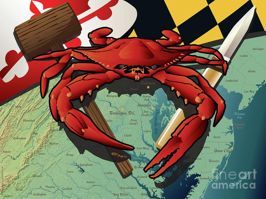 Maryland Red Crab with mallet and knife Digital Art by Joe Barsin