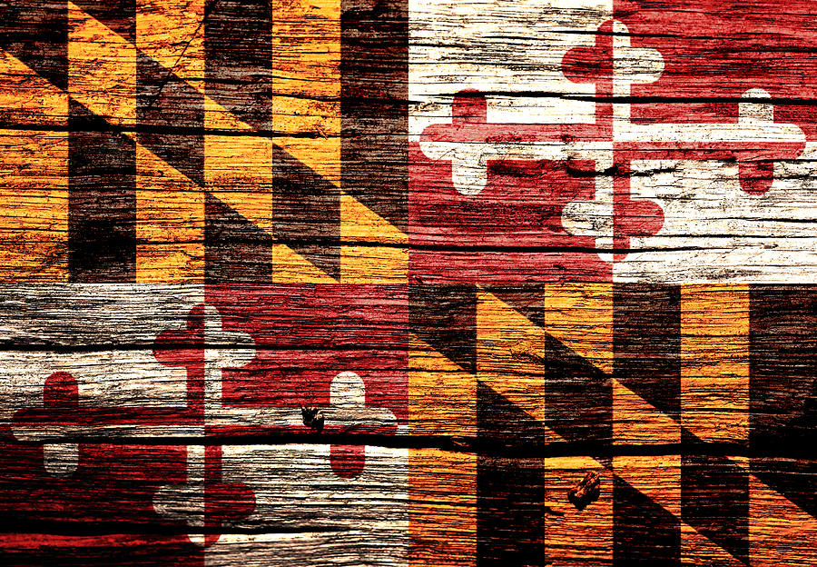 Maryland State Flag 1w Mixed Media by Brian Reaves