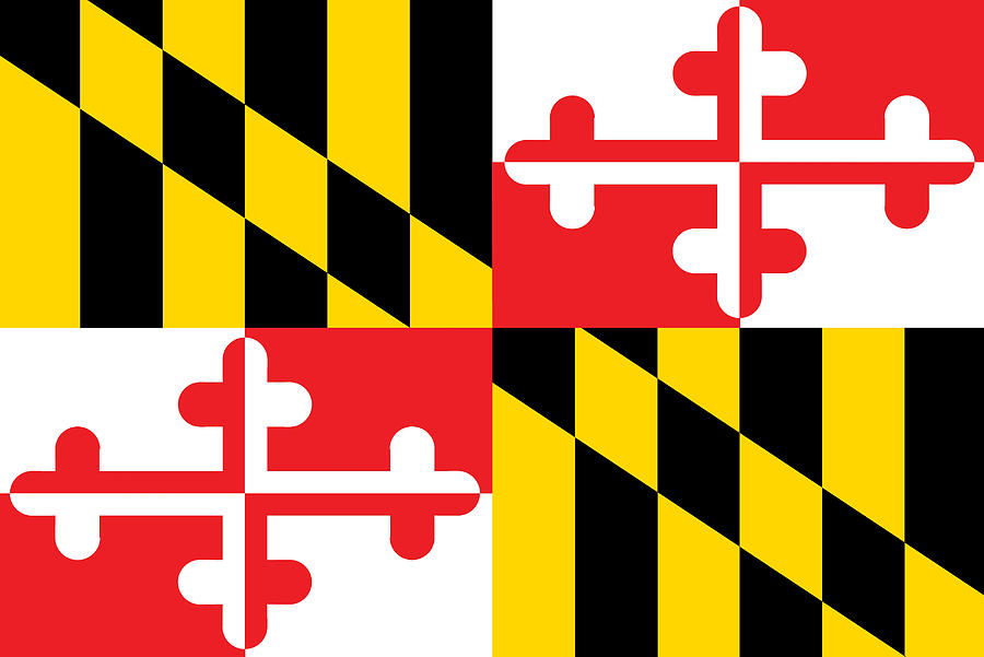 Maryland State Flag Painting by American School