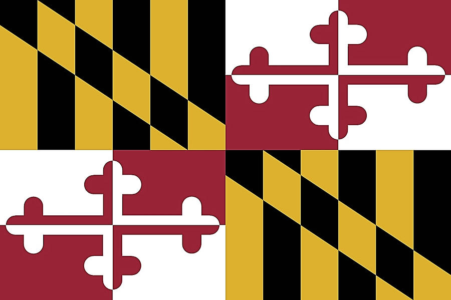 Flag Photograph - Maryland State Flag by Robert Banach