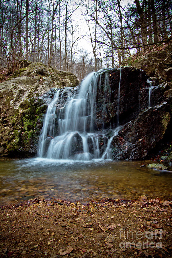 Maryland waterfalls Photograph by Laarni Montano