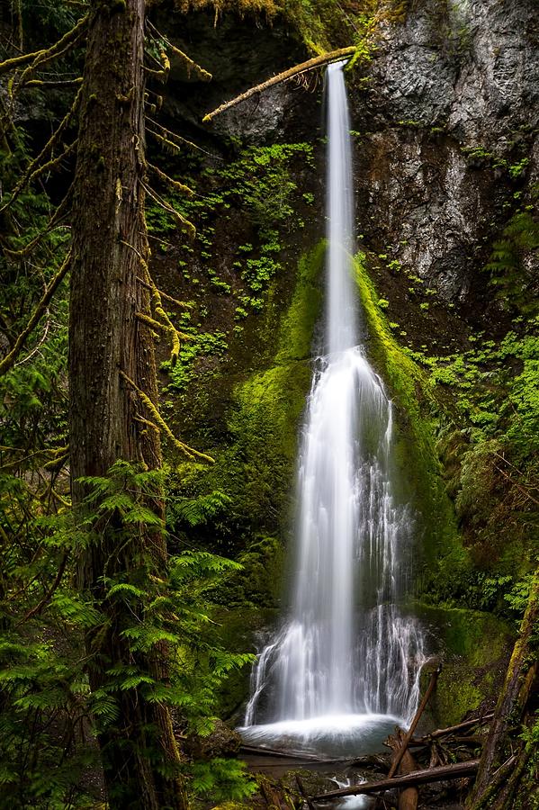 Marymere Falls Photograph by Chris Clay - Fine Art America