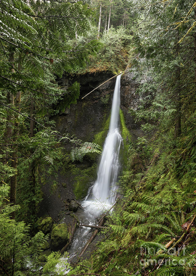 Marymere Falls in Olympic National Park Washington Photograph by ...