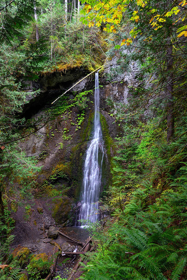Marymere Falls Photograph by Mark Whitt