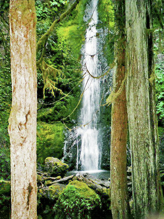Marymere Falls, Olympic National Park-Washington Photograph by Ruth Hager