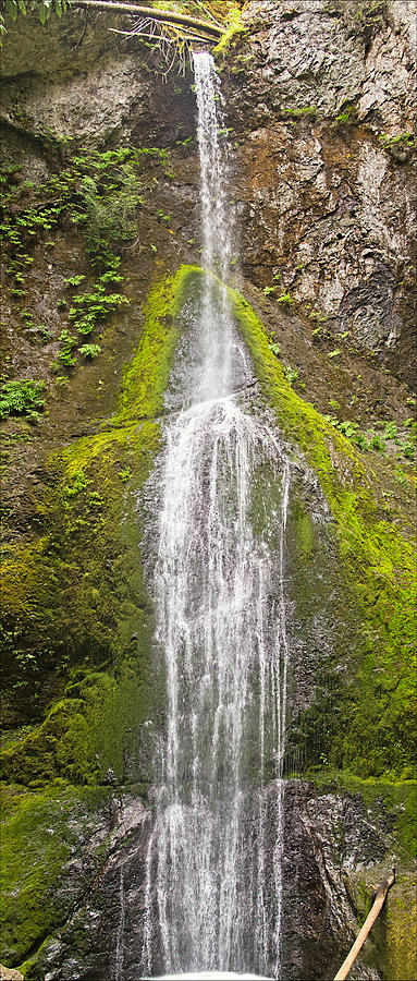 Marymere Falls Photograph by Peter J Sucy