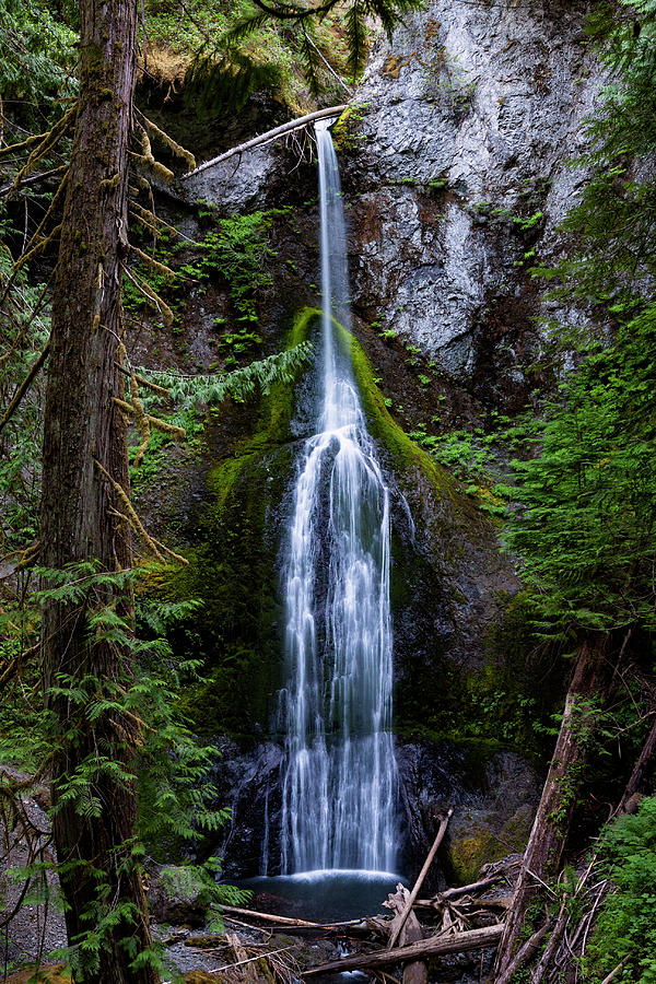 Marymere Falls Photograph by Rick Pisio