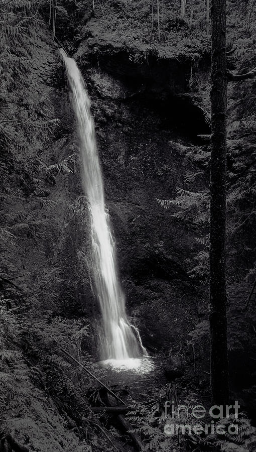 Marymere Falls-Signed Photograph by J L Woody Wooden