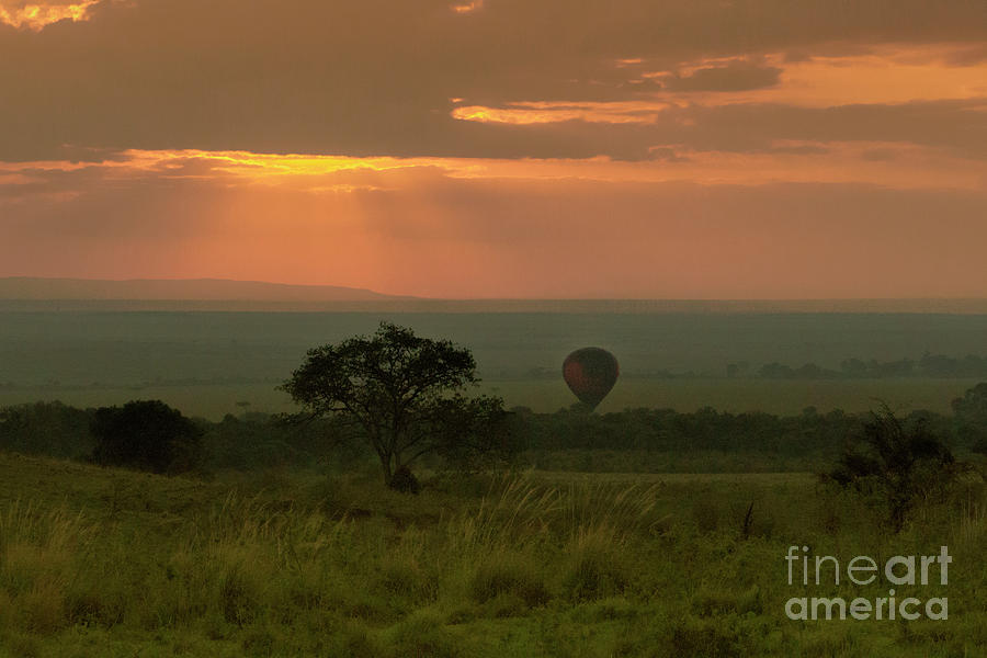 Masai Mara Balloon Sunrise Photograph by Karen Lewis