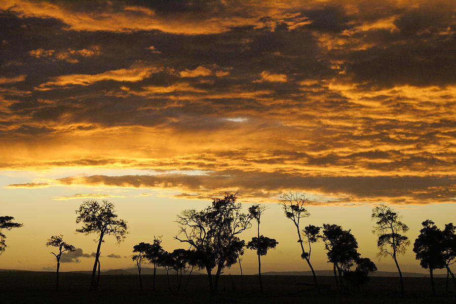 Masai Mara Sunrise Photograph by Michele Burgess