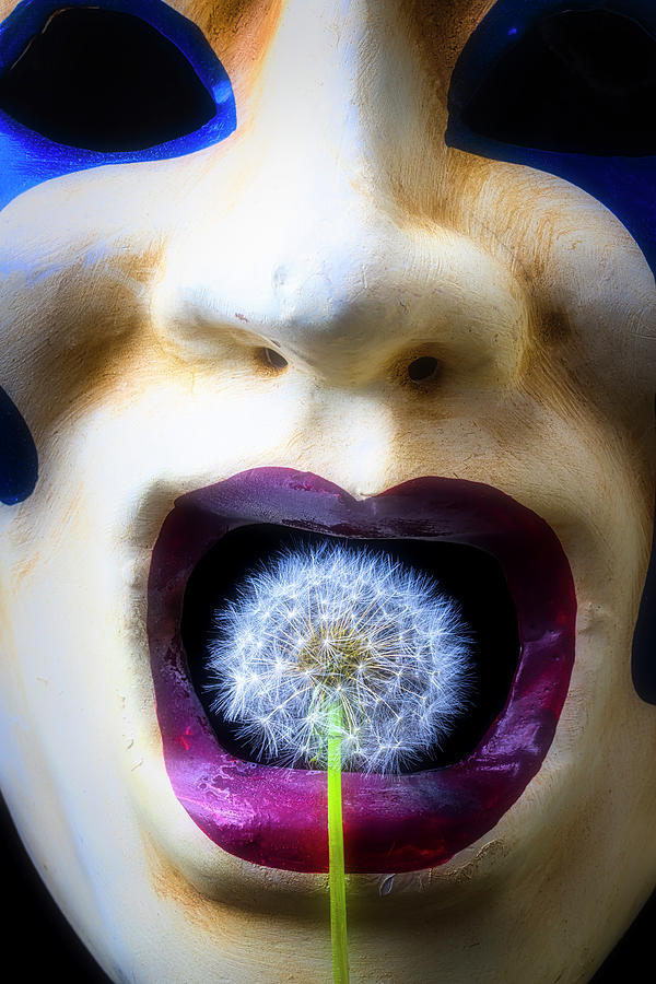Mask And Dandelion Photograph by Garry Gay