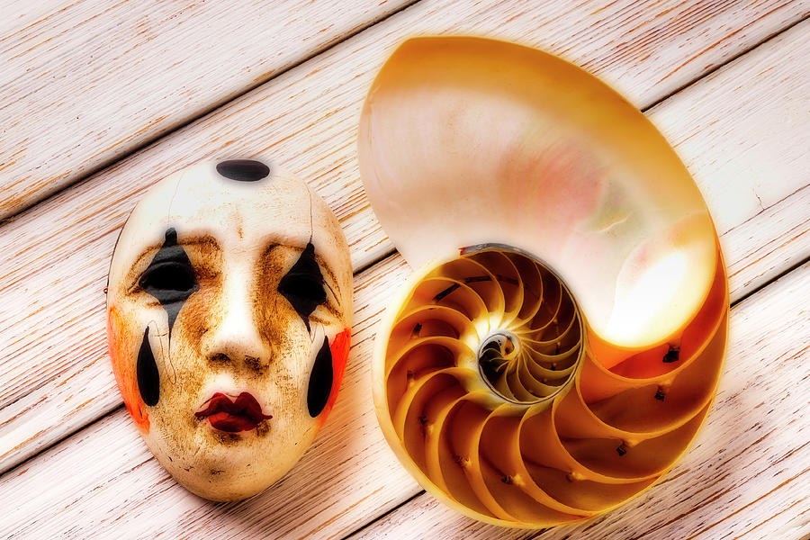 Mask And Nautilus Shell Photograph by Garry Gay