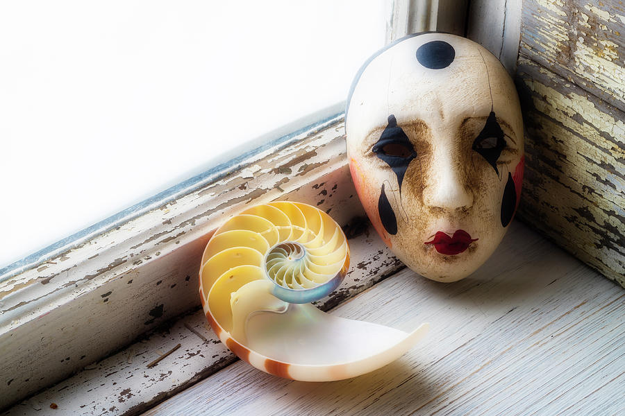 Mask And Nautilus Shell In Window Photograph by Garry Gay